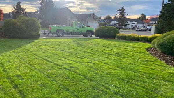 Clean Cut Landscape & Design