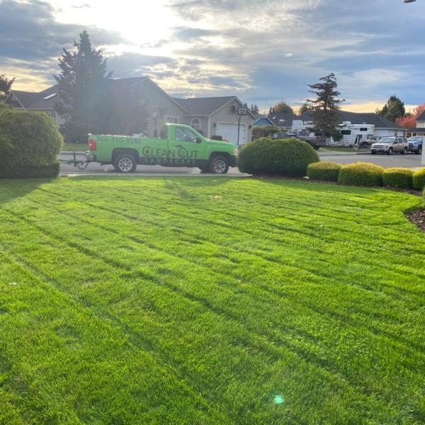 Clean Cut Landscape & Design