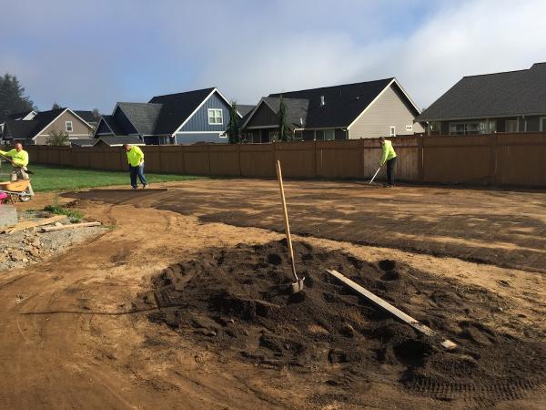 Clean Cut Landscape & Design