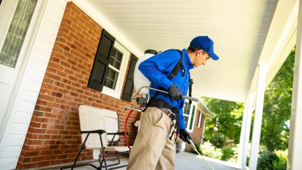 Ray's Pest Control and Wildlife Removal