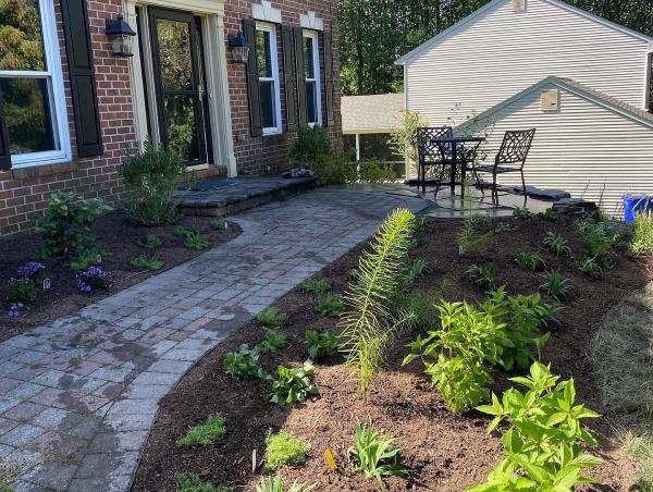 Lauren's Garden Service and Native Plant Nursery