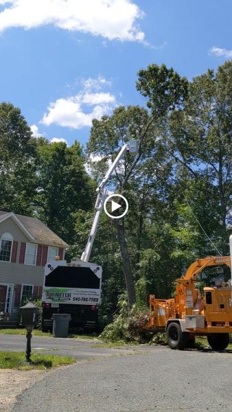Top Notch Tree Service