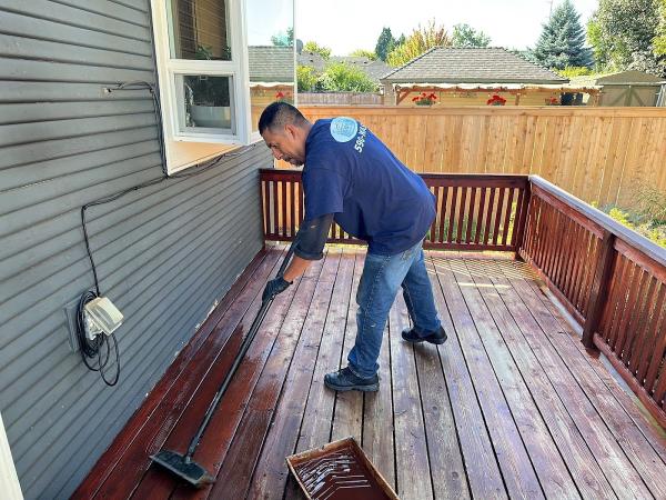 All Surface Cleaning