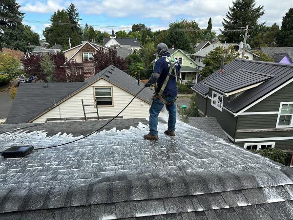 All Surface Cleaning