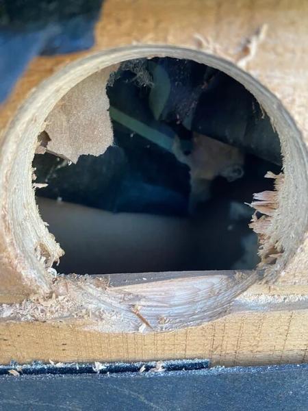 Weather Foam Insulation: Home Insulation Company