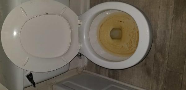 A Catered Clean LLC