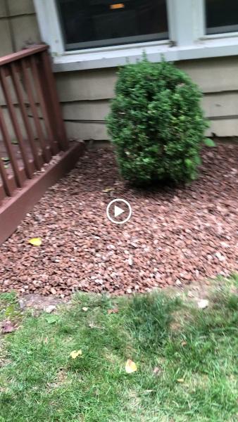 Enhanced Landscaping