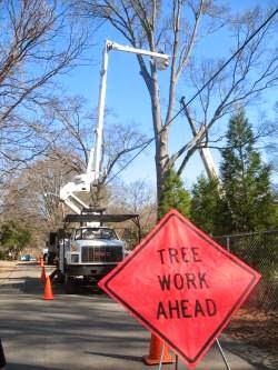 Joy's Tree Service
