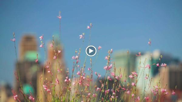 Landstylist: Landscape Design
