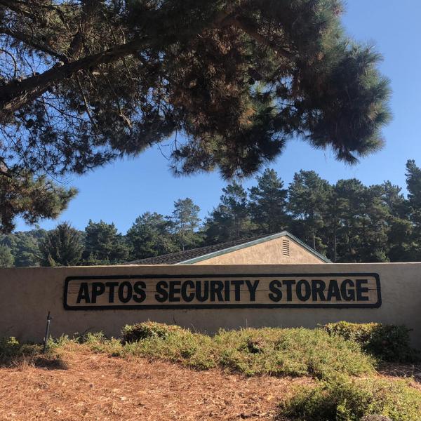 Aptos Security Storage