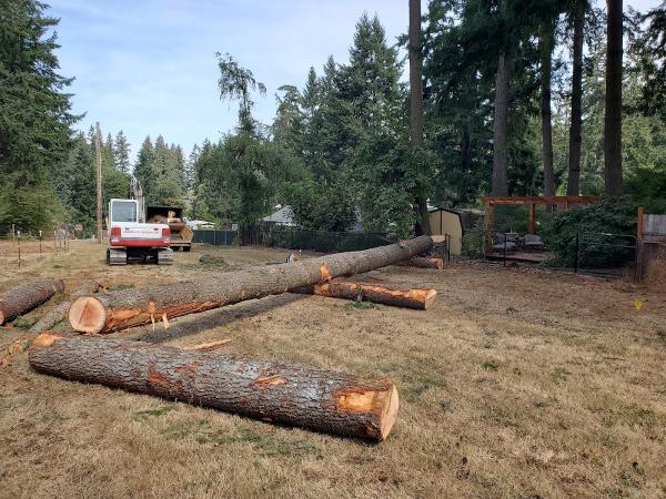 The Tree Guys LLC