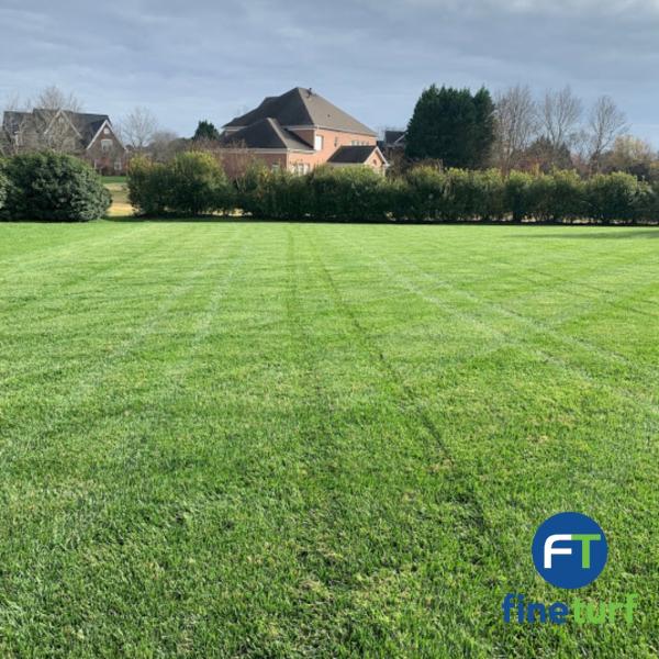 Fineturf Lawn Care
