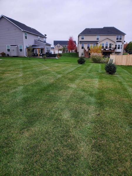 Midwest Ground Effects