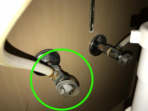 Same Day Inspection
