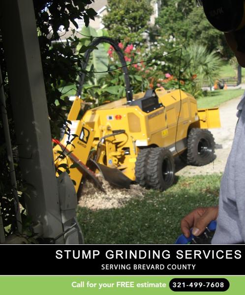 Stump Removal Expert LLC