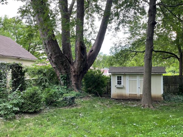 RC Tree Service