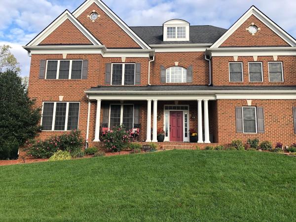 Red Maple Lawn Maintenance