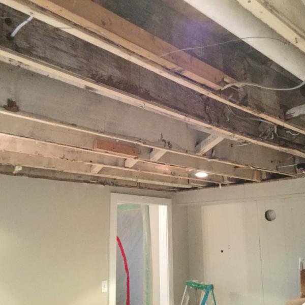 Green Construction & Restoration