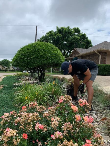 Sandoval Landscaping