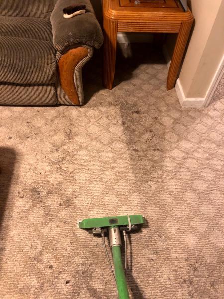Isteam Carpet Care