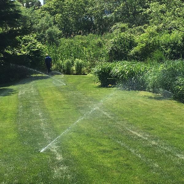 Ecosavvy Irrigation