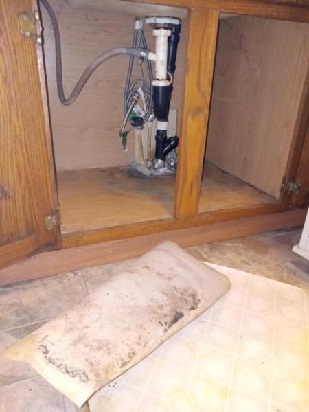 Mountain To Valley Home Inspections
