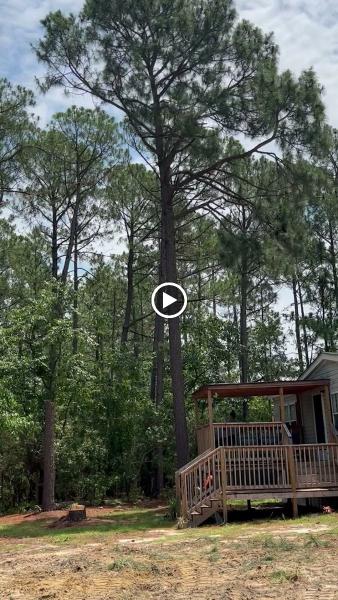 Gaycas Tree Services