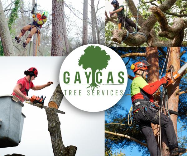 Gaycas Tree Services