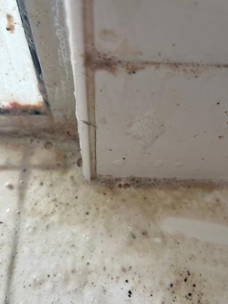 804 Cleaning LLC