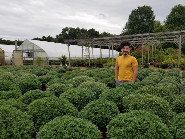 Paradise Nurseries