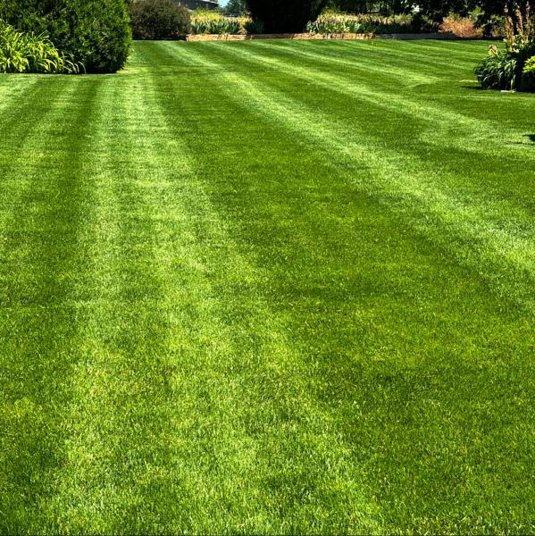 Signature Lawns