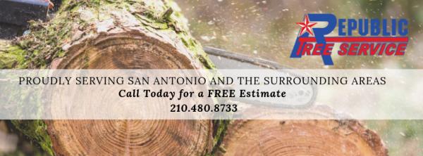 Republic Tree Service