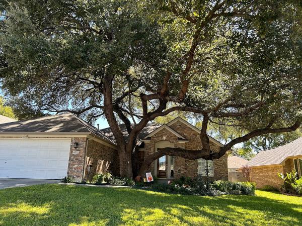 Republic Tree Service