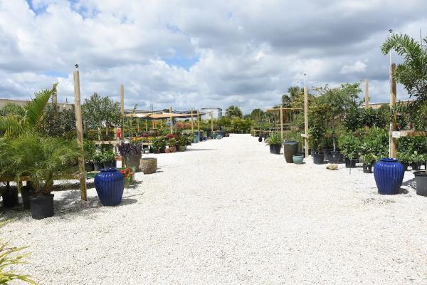 Craig's Perfect Turf Landscaping Inc