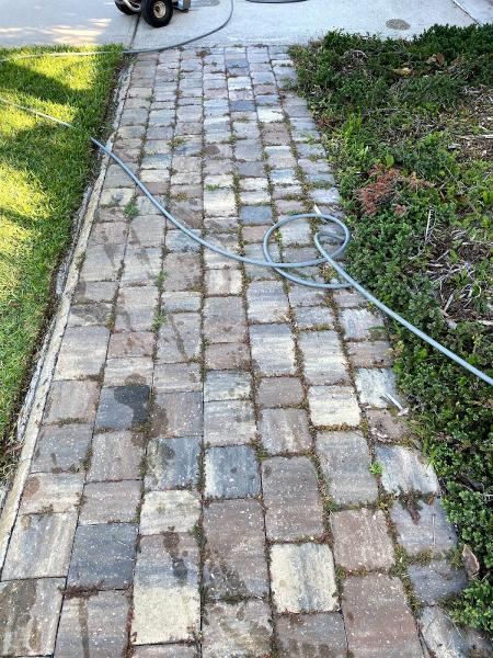 Tiger Paver Sealing Services