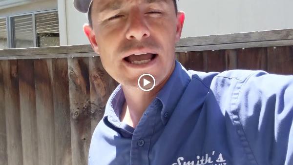 Smith's Pest Management