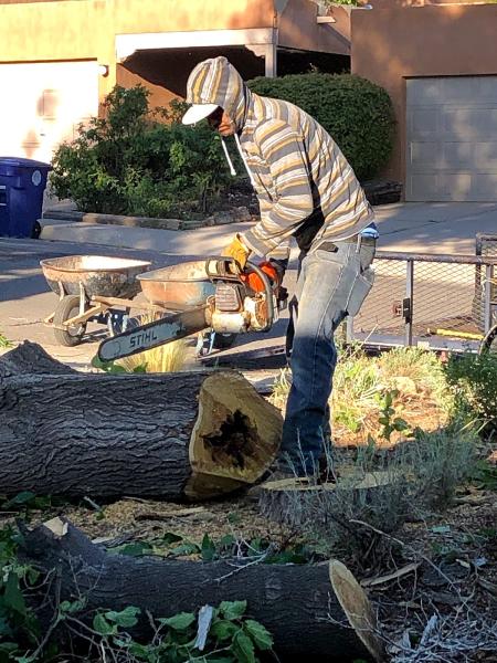 Hector's Tree Care