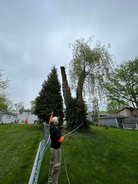 Great View Tree Service