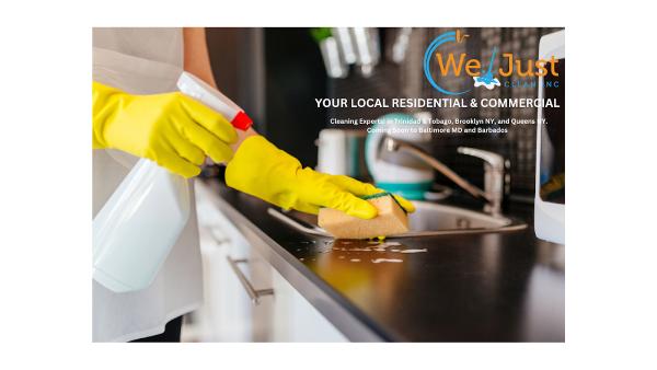 We Just Clean New York