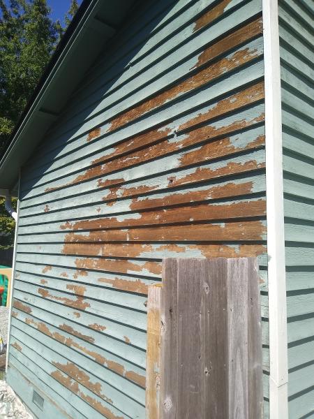 Redmond PRO Painting LLC