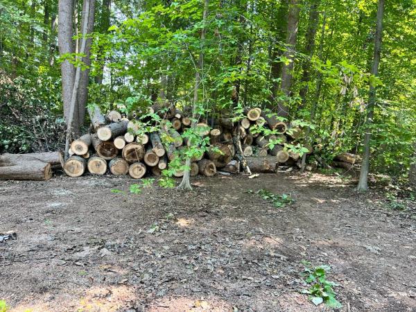 Herrera Tree Services and Landscaping LLC