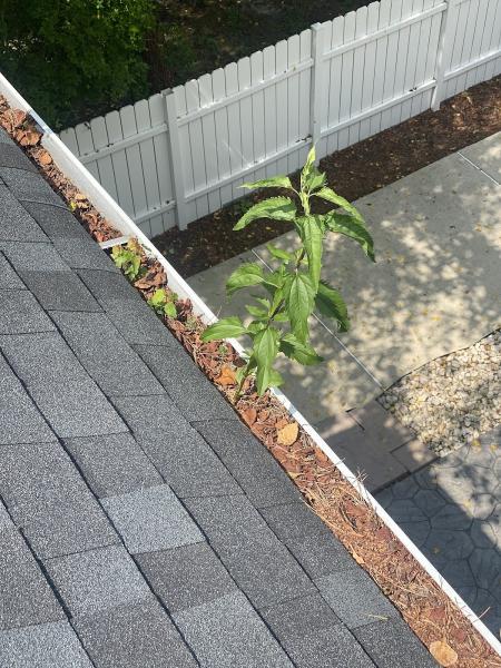 Roof Renew LLC