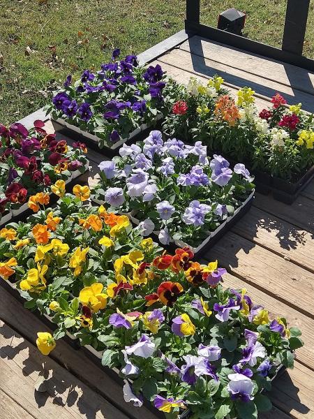 Landscaping & More
