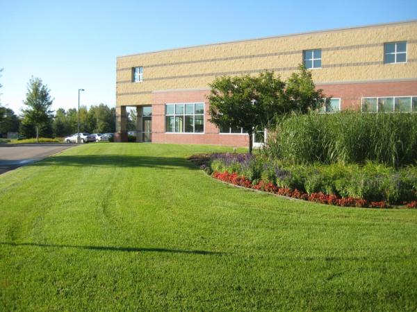 Lawns