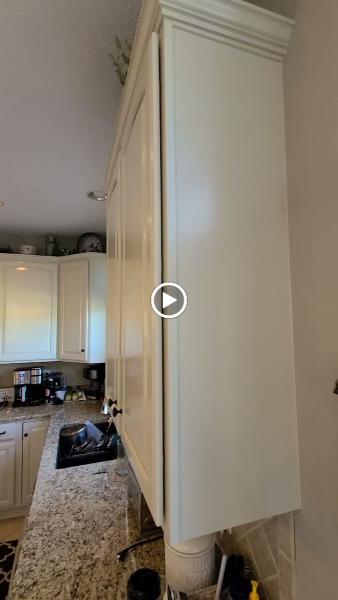 Painting Plus Professionals