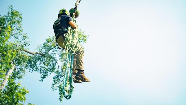 Aj's Tree Service