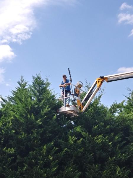 Miller Tree and Lawn Services