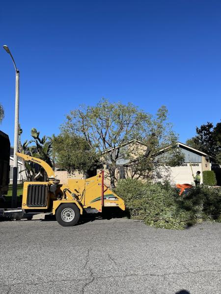 Alfonsos Tree Service