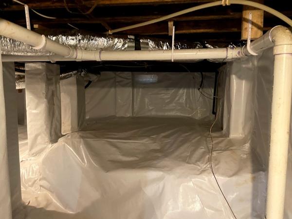Nutech Mold & Water