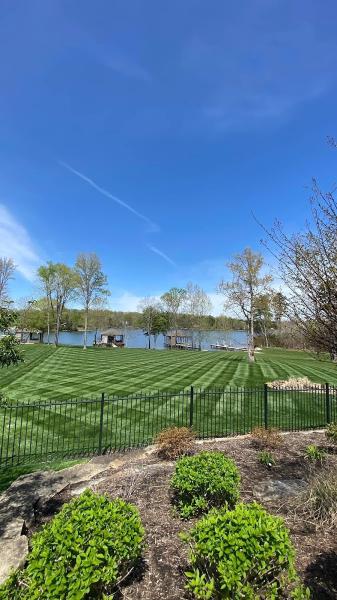 Tikal Lawn